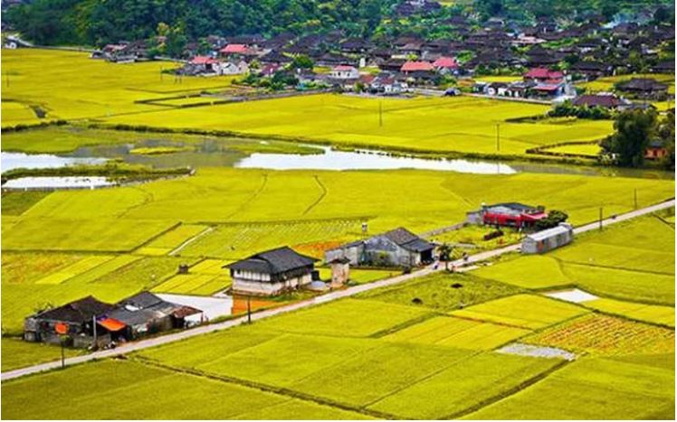 Hạn mức giao đất ở